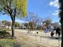 公園　荒田公園（公園）まで20m