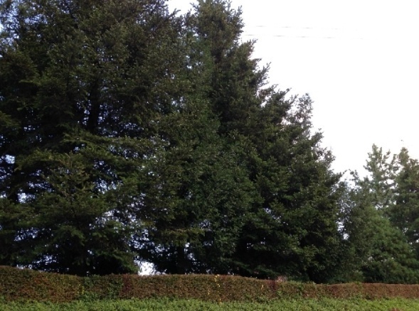 公園　平出工業団地公園（公園）まで497m