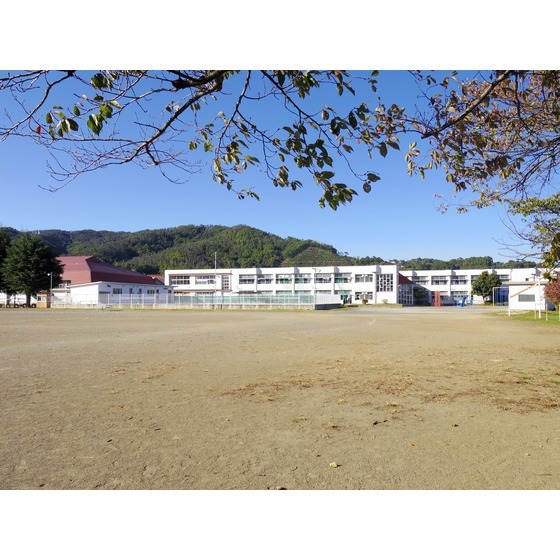 小学校　丸子北小学校（小学校）まで1000m