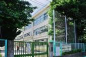 小学校　杉並区立桃井第二小学校（小学校）まで537m