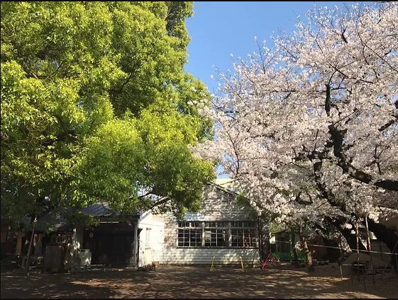 幼稚園・保育園　平塚幼稚園（幼稚園・保育園）まで199m
