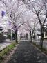 公園　花と緑の散歩道（公園）まで166m