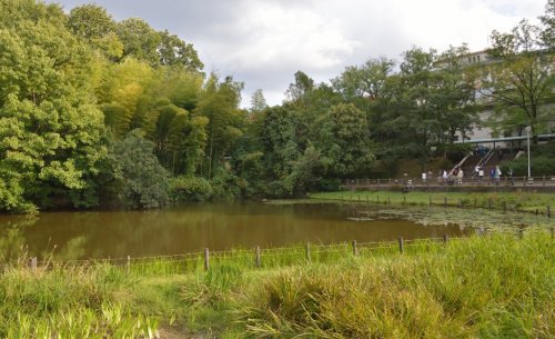 公園　千里東町公園（公園）まで1295m