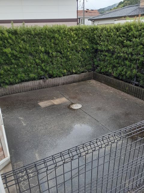 庭