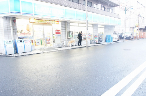 京急本線 京急川崎駅 徒歩6分 10階建 築6年の外観写真