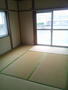 コーポ石井の賃貸物件