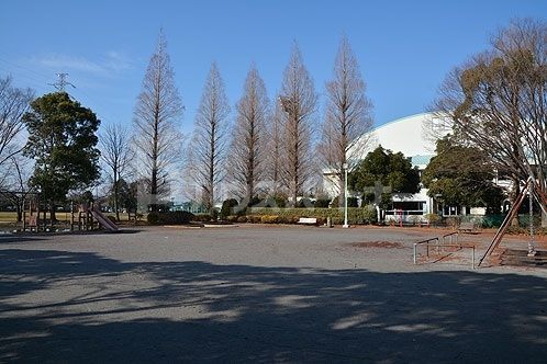 【ロイヤルパレスIII番館の公園】