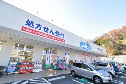 ドラックストア　ウエルシア八王子東中野店（ドラッグストア）まで734m