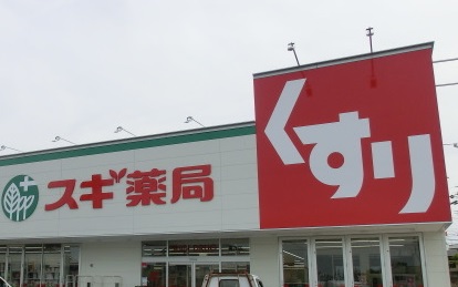ドラックストア　スギ薬局 相川店（ドラッグストア）まで735m