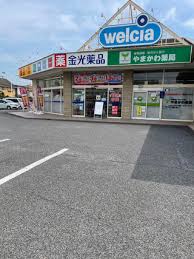 ドラックストア　金光薬品岡山庭瀬店（ドラッグストア）まで899m