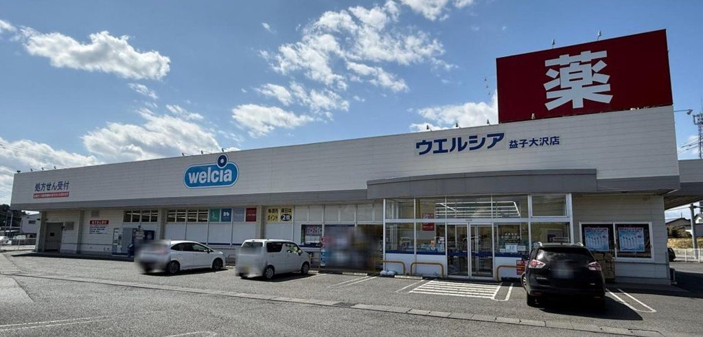 ドラックストア　ウエルシア益子大沢店（ドラッグストア）まで850m