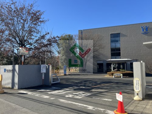 大学・短大　明治薬科大学（大学・短大）まで668m