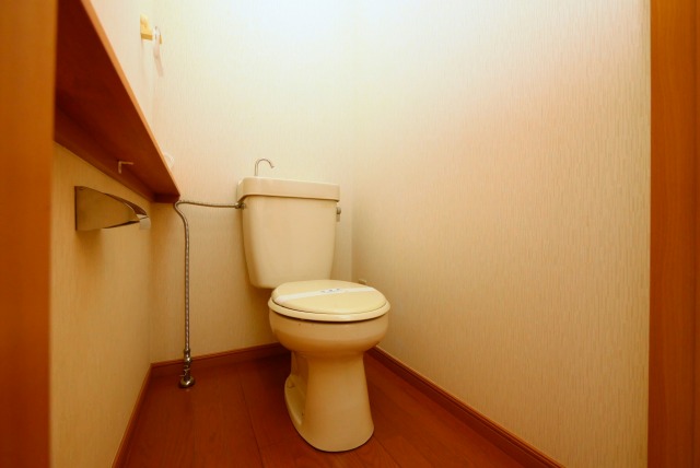 メゾンなかのトイレ写真