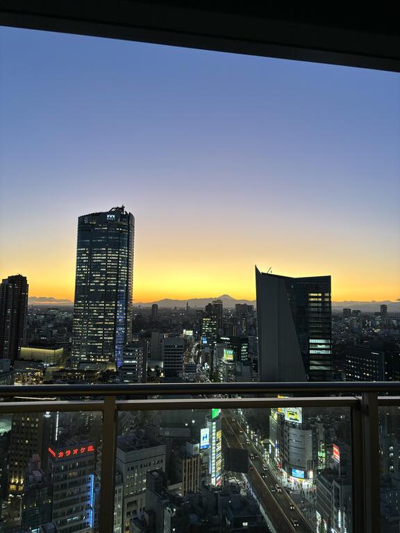 【THE ROPPONGI TOKYO CLUB RESIDENCEのバルコニー】