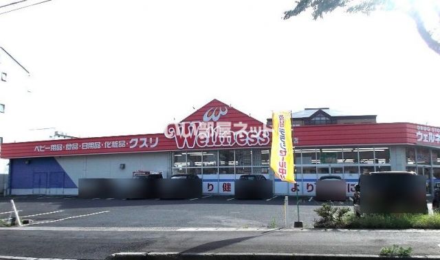 ドラックストア　ドラッグストアウェルネス 古志原店（ドラッグストア）まで834m