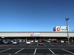 ドラックストア　カワチ薬品本庄店（ドラッグストア）まで663m