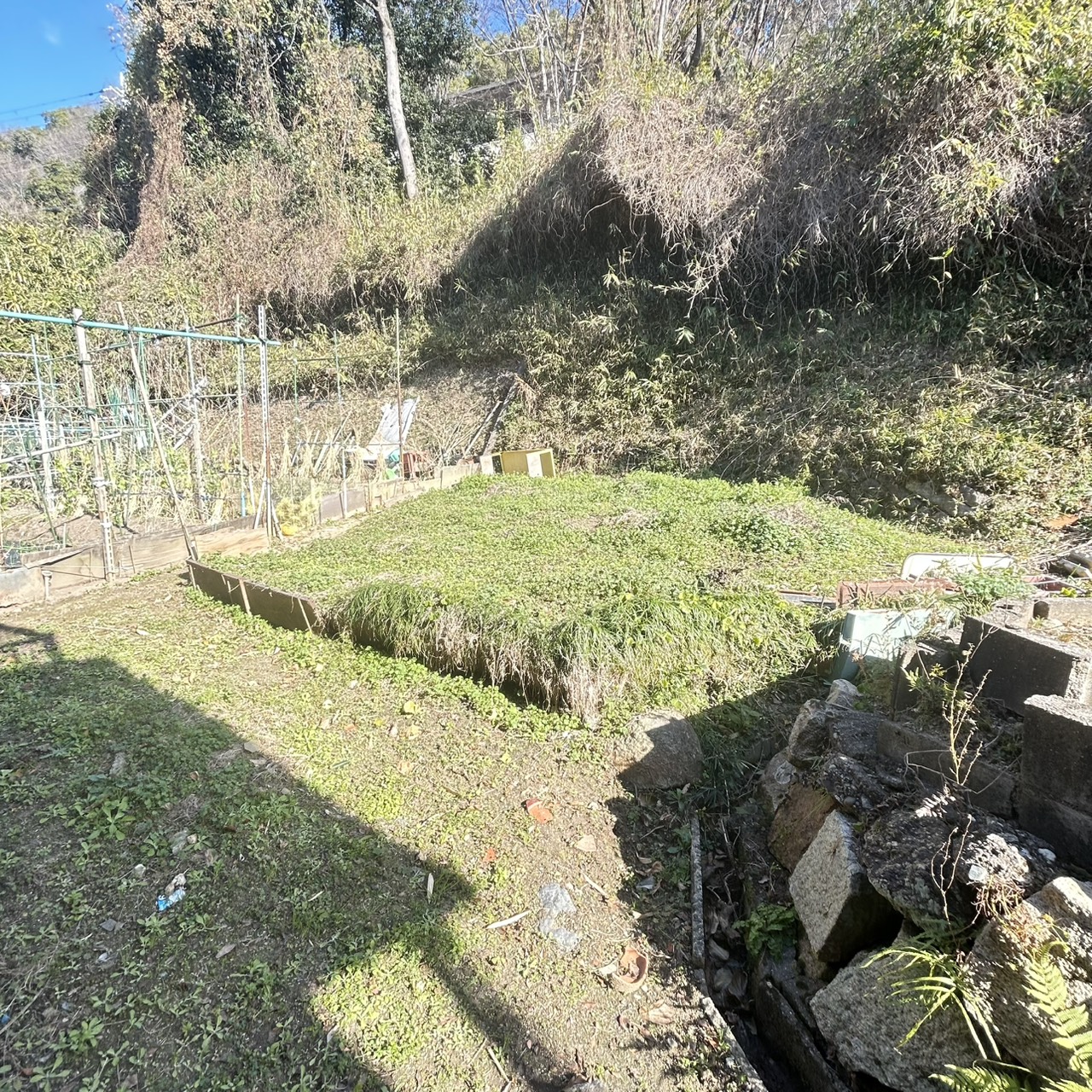 家庭菜園&ペットと暮らせる貸家のその他写真