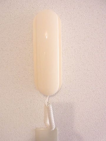 セキュリティ　★インターホン★