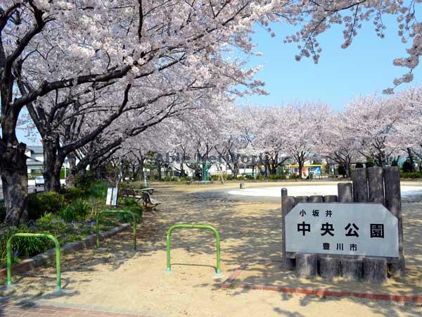 公園　中央公園（公園）まで1006m