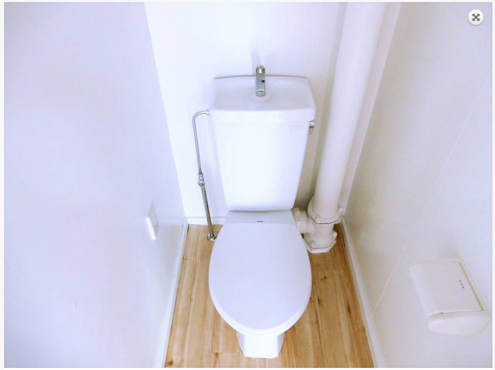ビレッジハウス下船尾2号棟201のトイレ写真