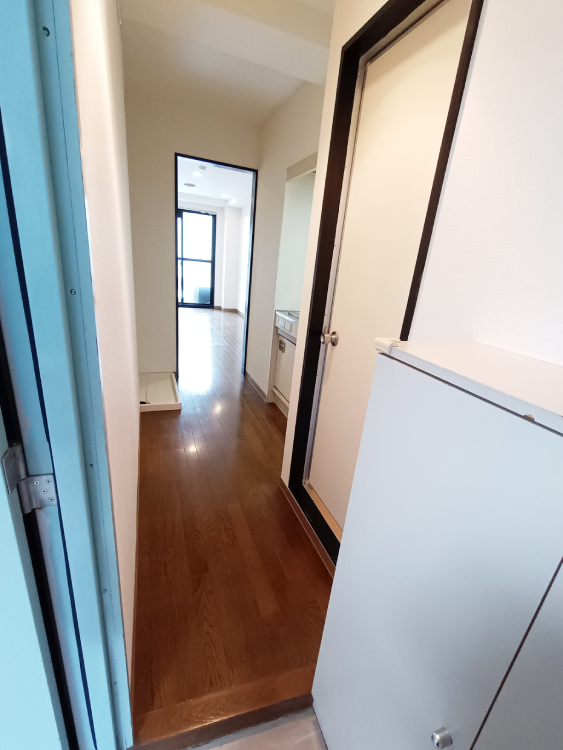 玄関　玄関からの眺め