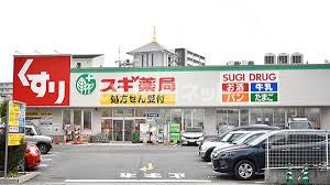 ドラックストア　スギ薬局 原町田店（ドラッグストア）まで1029m
