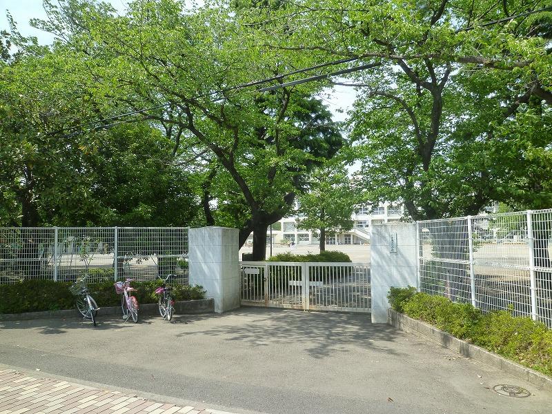 小学校　府中第三小学校（小学校）まで509m