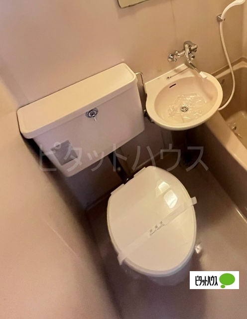 トイレ　トイレ