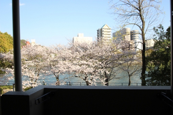 眺望　※別号室の写真です