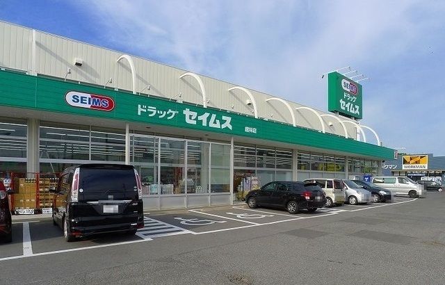 ドラックストア　セイムス館林店（ドラッグストア）まで210m
