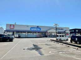 ドラックストア　ウエルシア清水庵原店（ドラッグストア）まで1168m