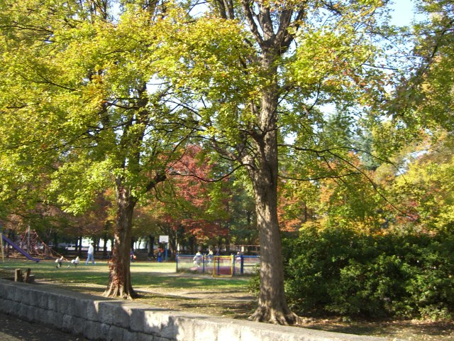 公園　横枕西公園（公園）まで300m