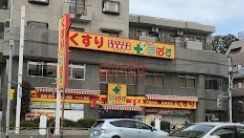 ドラックストア　どらっぐぱぱす西馬込店（ドラッグストア）まで350m