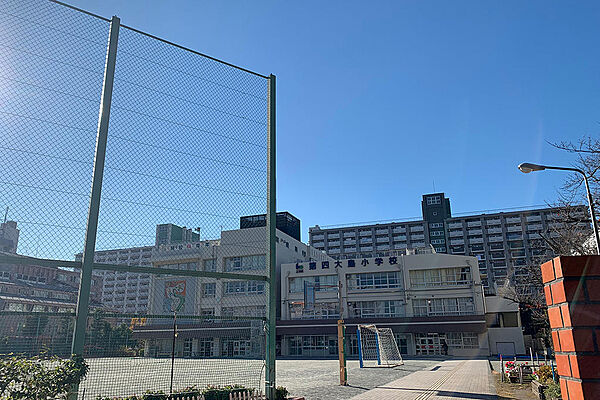 小学校　江東区立第四大島小学校（小学校）まで553m