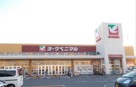 スーパー　ヨークベニマル 土浦真鍋店（スーパー）まで669m