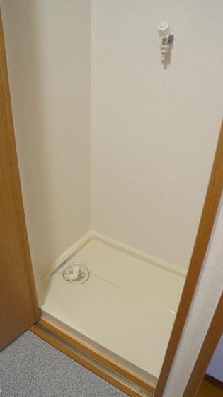その他　サンプリムローズ 　室内