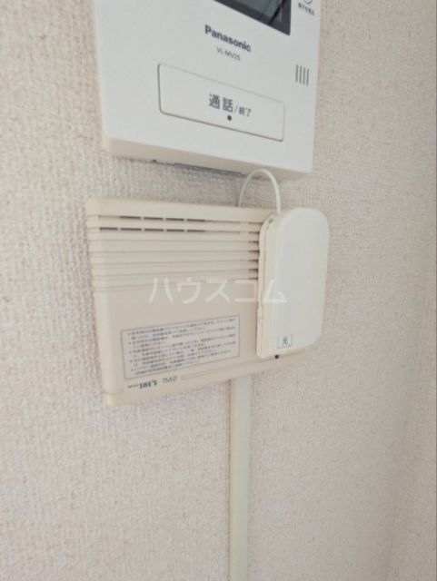 プチロジェサントラップのその他写真