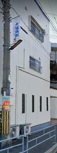 病院　犬猫病院（病院）まで247m