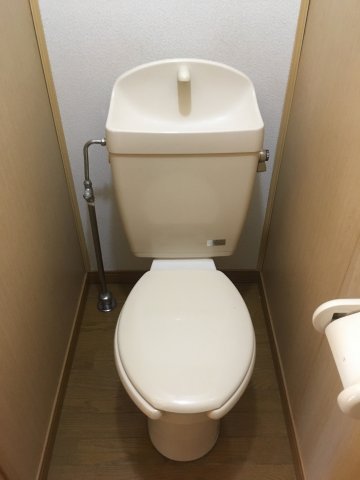 トイレ　トイレも気になるポイント