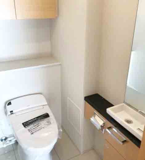 ブランズ渋谷常盤松のトイレ写真