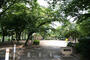 公園　隼人池公園（公園）まで923m