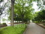 公園　若園公園（公園）まで448m