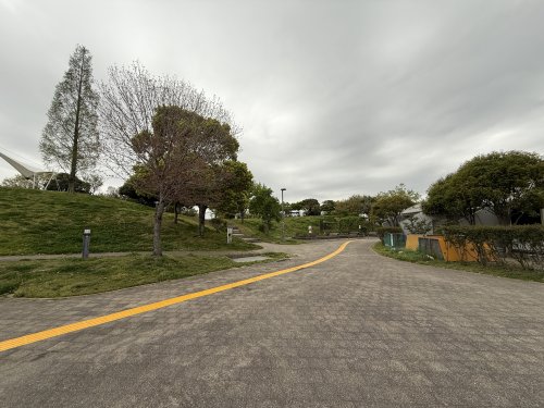 公園　神明公園（公園）まで1216m