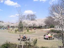 公園　都立東村山中央公園（公園）まで765m