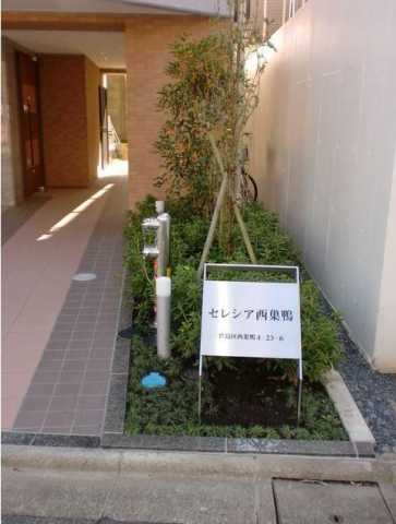 エントランス　セレシア西巣鴨