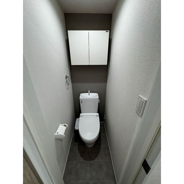 ラフィーネ西谷Cのトイレ写真