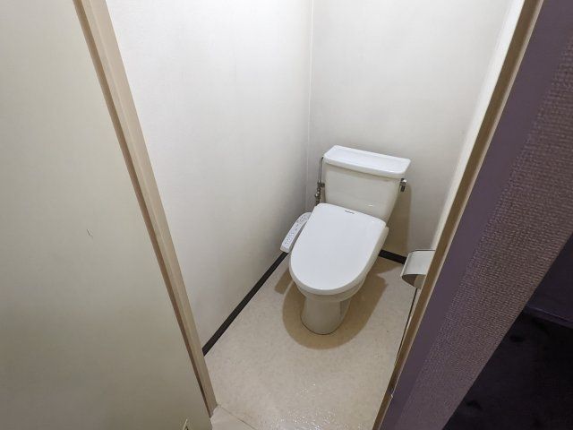 ＪＲ両毛線 山前駅 徒歩1分 3階建 築43年のトイレ写真