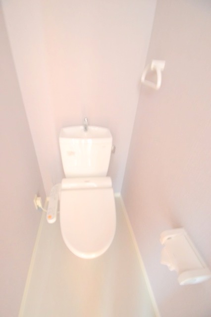 ロータスアネックスのトイレ写真