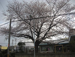 病院　安中診療所（病院）まで200m