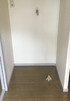 その他設備　室内洗濯機置場